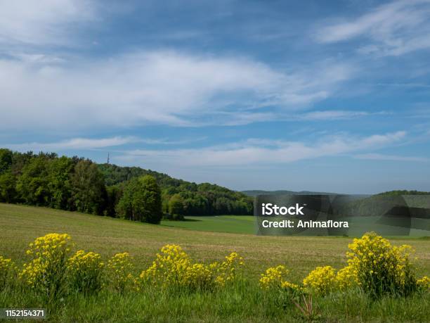 Green Landscape In Franconia Bavaria Germany Stock Photo - Download Image Now - Agricultural Field, Agriculture, Bavaria