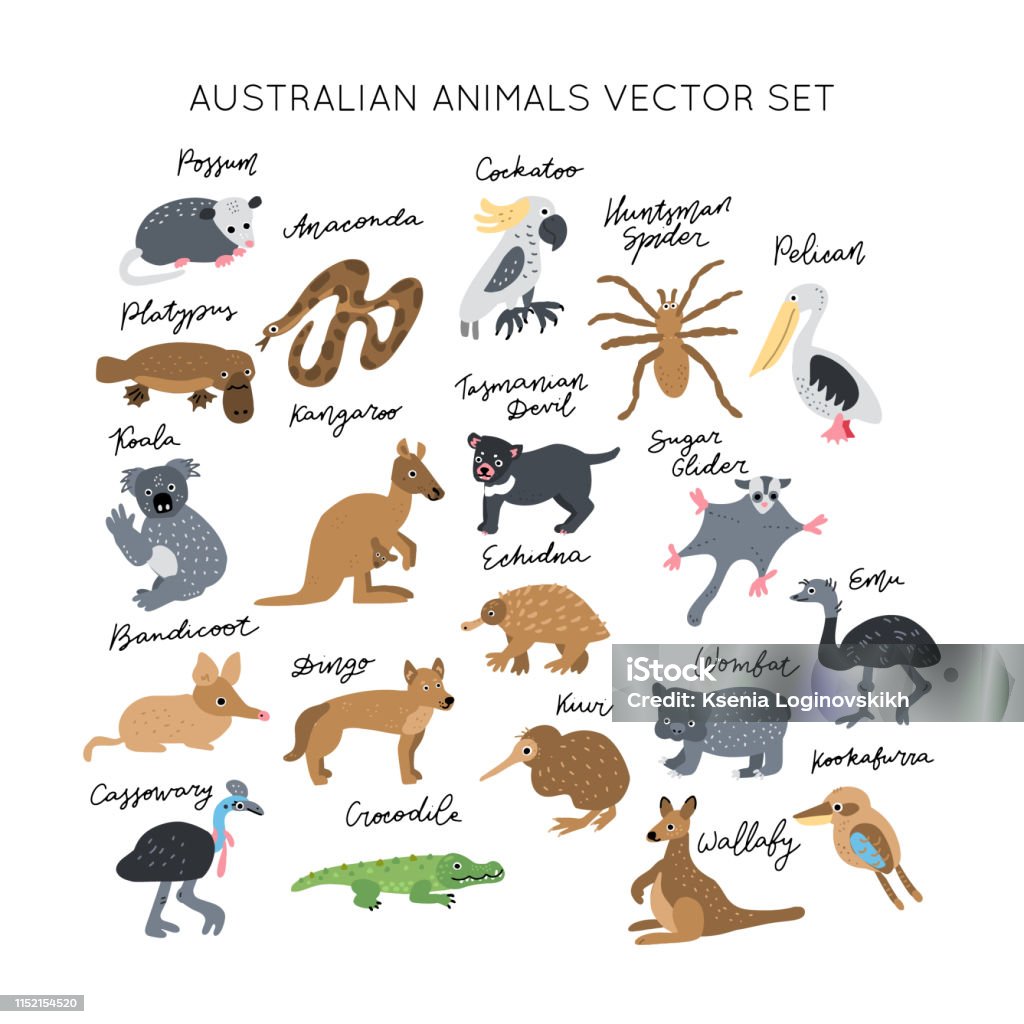 Clipart Vector Drawing Stock Illustration - Download Image Now - Australia, Animal, Animal Themes - iStock Clipart Vector Drawing Stock Illustration - Download Image Now - Australia, Animal, Animal Themes - iStock