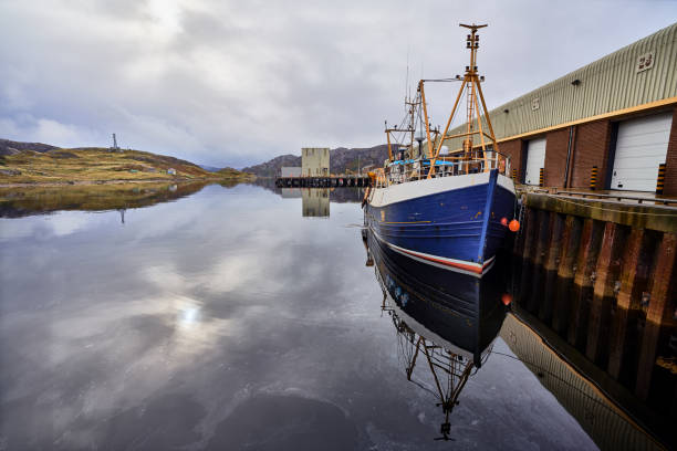 Ships in the harbour