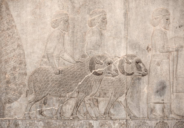 istock Close Up Magnificent Persian Bas Reliefs in Persepolis, Iran 1152156633
