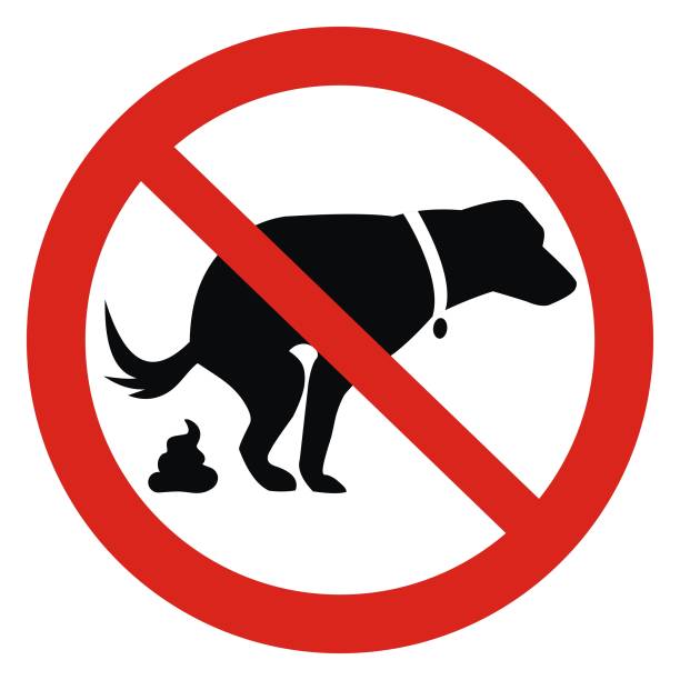Dog and excrement at red frame, eps. Dog and excrement, no dog pooping sign. Information red circular sign for dog owners. Shitting is not allowed. Vector illustration. stool stock illustrations