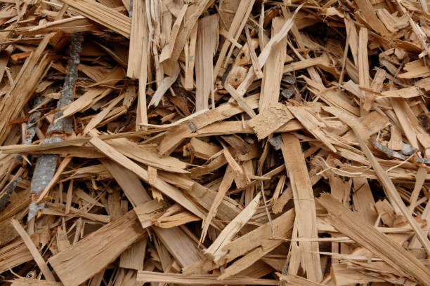 istock Pile of firewood cut prepared for winter 1152163545