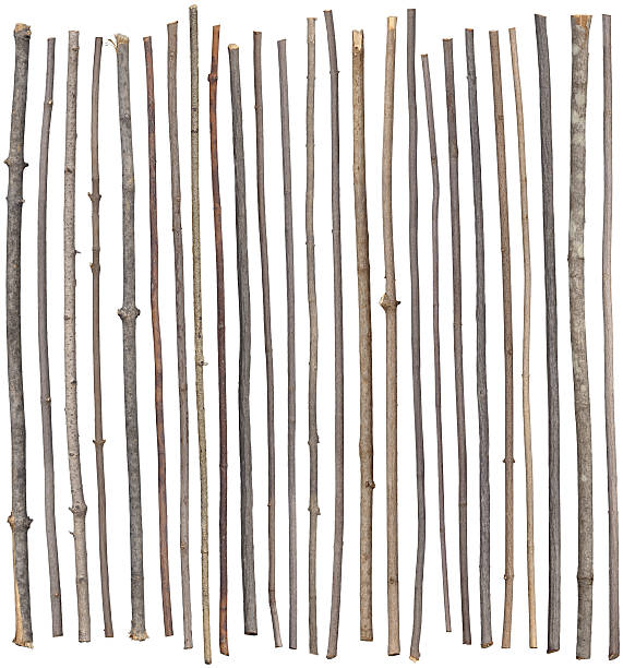 Twenty Five Sticks Twenty-five separated sticks isolated on white. twig stick wood branch stock pictures, royalty-free photos & images