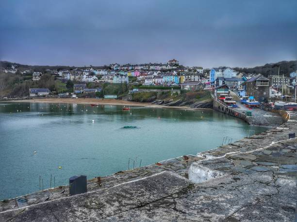 istock New Quay, Wales 1152165836