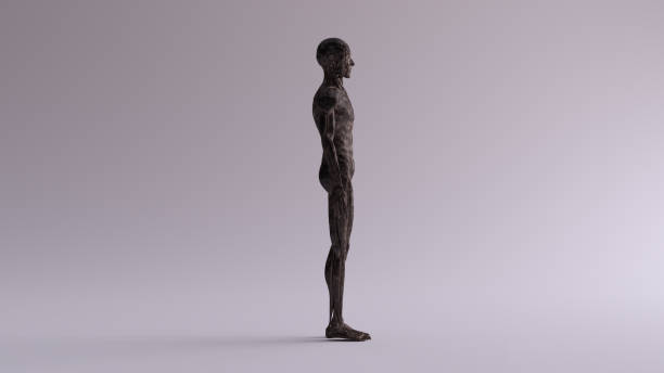 istock Black Iron Ecorche Muscle and Skeletal System Anatomical Model Right View 1152166914