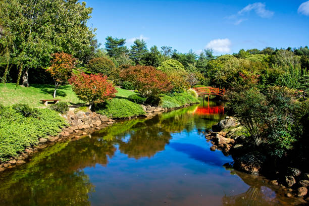 istock Japanese Garden 1152168653