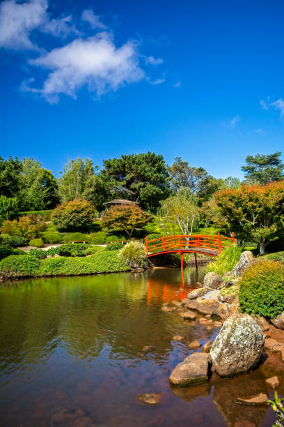 istock Japanese Garden 1152168795