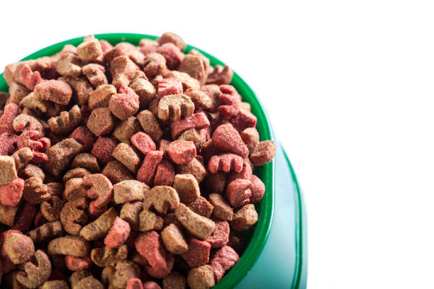 istock dry dog food isolated on white background 1152168797