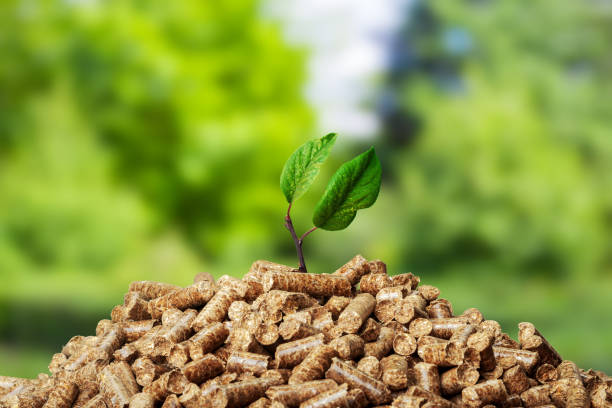 istock Wooden pellet 1152170508