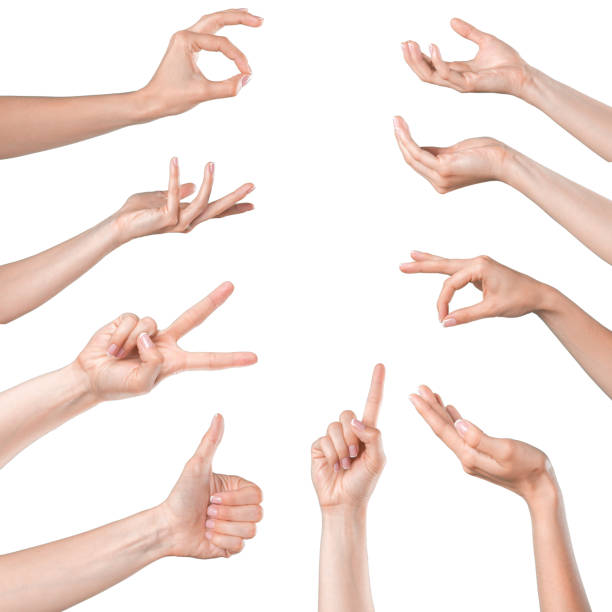 istock Collage of woman hands 1152174515