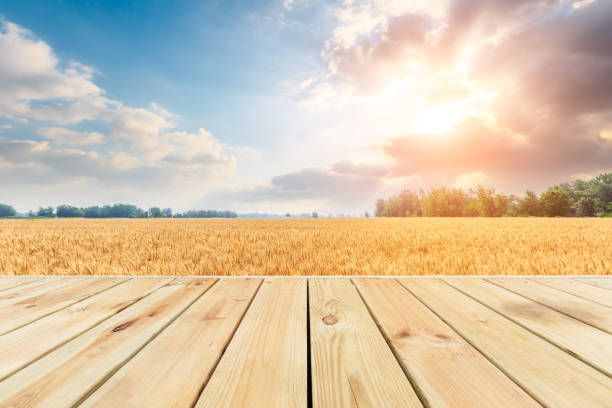 istock Empty wood board and yellow wheat field 1152174638