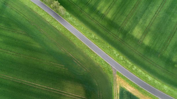 istock Road through agricultural fields - aerial view 1152175147