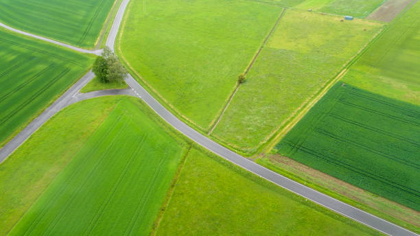istock Road through agricultural fields - aerial view 1152175159