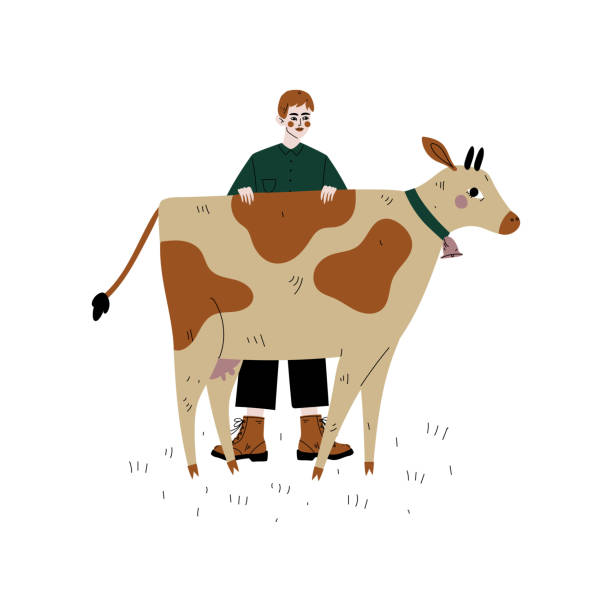 istock Male Farmer Standing Next to Spotted Cow, Dairy Cattle Animal Husbandry Breeding Vector Illustration 1152176770