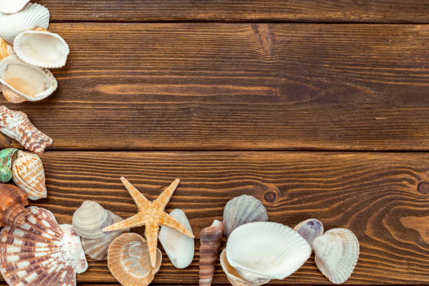 istock Beach accessories on wooden board 1152178910