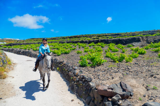 Horseback riding in Santorini