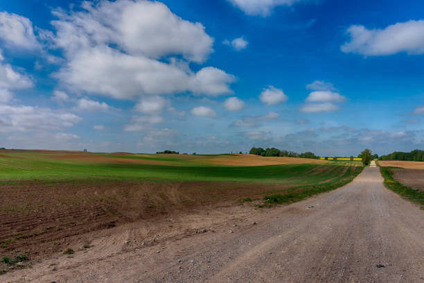 istock Gravel country road through farm fields 1152183053