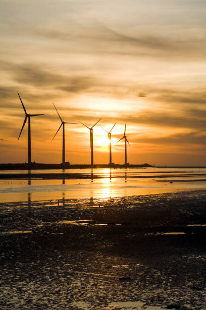 istock Gaomei wetlands landscape in Taichung Taiwan. 1152183204