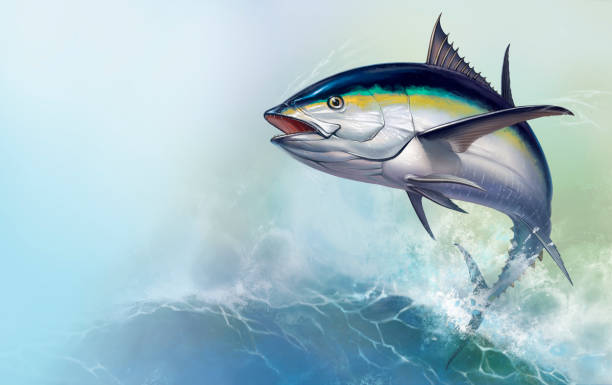 Black fin tuna jumps out of the sea. Black fin tuna jumps out of the sea. Realistic illustration of a big fish on the background of large sea waves. saltwater fish stock illustrations