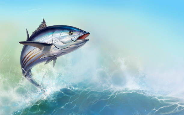 illustrazioni stock, clip art, cartoni animati e icone di tendenza di tonno a strisce, tonno skipjack, katsuwonus pelamis. tonno sullo sfondo di grandi onde. - tuna