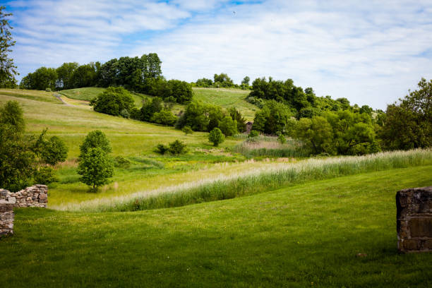 Countryside rolling, grassy meadow landscape art