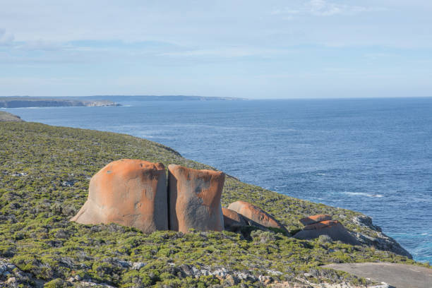 istock Remarkable Rocks on Kangaroo Island in Australia 1152195752