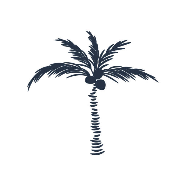 пальма силуэт значок вектор изо�лированы на белом. - tropical climate island beach branch stock illustrations