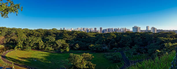 parque municipal de ribeirão preto-são paulo, brasil, vista panorâmico da cidade de ribeirão preto do parque municipal curupira no crepúsculo com céu azul.  foto panorâmica de 54 mpx - southeastern region sao paulo state sao paulo brazil - fotografias e filmes do acervo