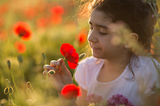 Cute little girl in a flowery field of red poppies