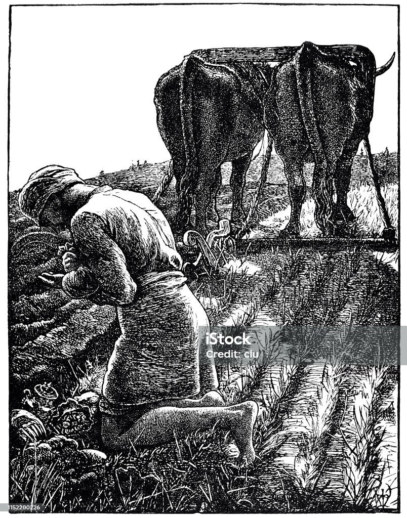 Farmer ploughing Illustration from 19th century Plow stock illustration