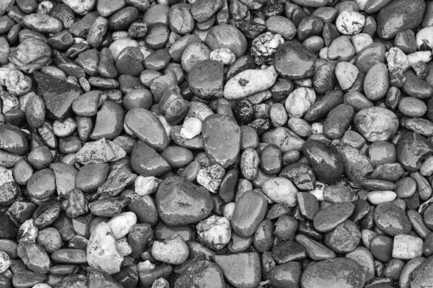 istock Pictured black and white gravel on the sidewalk 1152200852