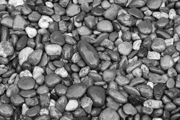 istock Pictured black and white gravel on the sidewalk 1152200855