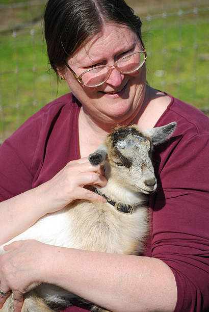 istock Woman Holding Baby Pygmy Goat 115220097