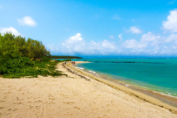 istock View of the sandy beach 1152202393