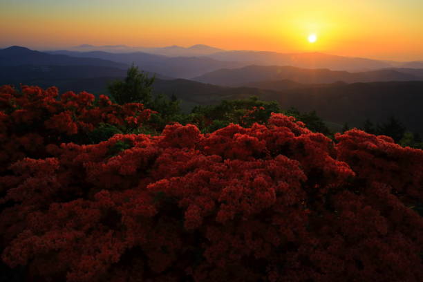 istock Iwate Prefecture Mt. Murone at dawn 1152202403