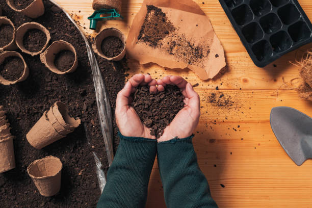 istock Gardener handful of soil in cupped hands 1152202567