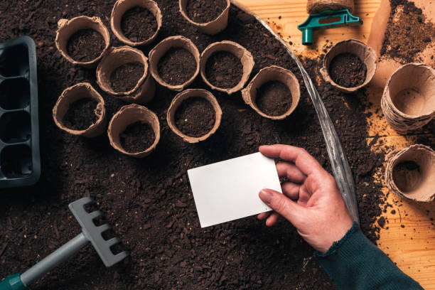 istock Gardener holding blank business card mock up 1152202849