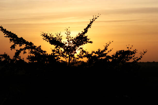 Sunset in Mali,Burkina Faso