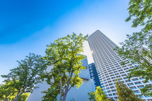 istock Fresh green and tall buildings 1152204152