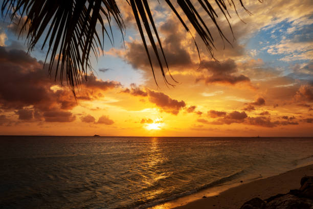 istock sunset on the sea with tropical palm trees 1152205456
