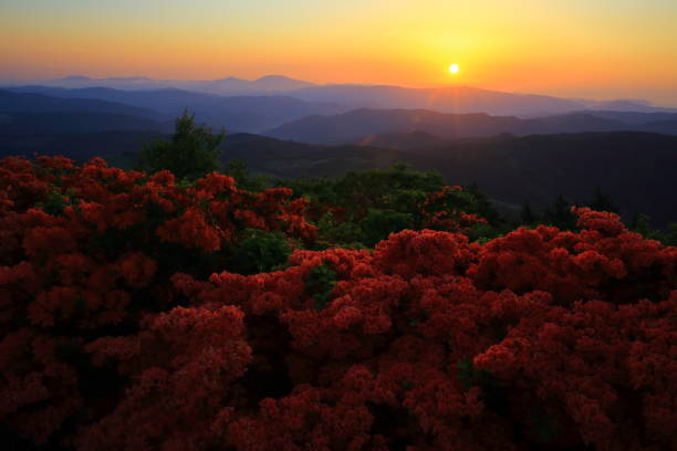 istock Iwate Prefecture Mt. Murone at dawn 1152207435