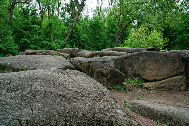 istock Botanical zen stone garden with water drops and rocks. 1152208362