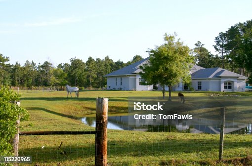 istock Horse Farm 115220965