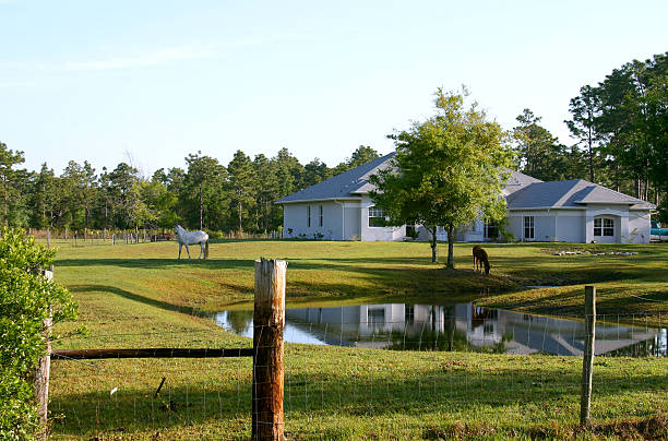 Horse Farm Small horse farm in Central Florida showing pond, house and two horses grazing in the front pasture. ranch stock pictures, royalty-free photos & images