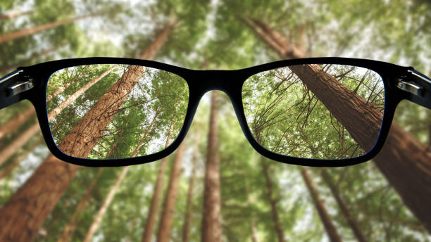 istock Glasses focusing a forest 1152211133