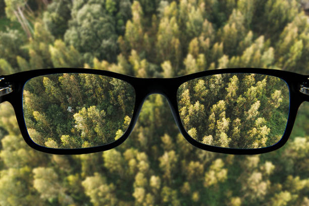 istock Glasses focusing a forest as seen from above 1152211466