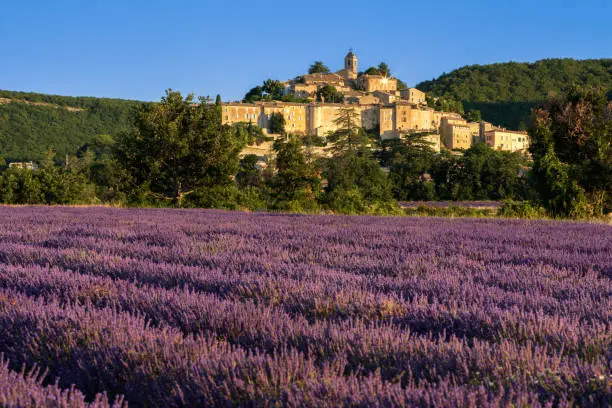 France, Alpes-de-Haute-Provence (04) - The village of Banon in Provence with lavender fields at sunrise in summer. Alps, France
