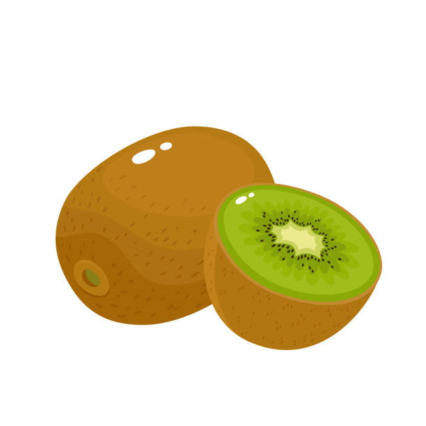 Bright vector illustration of colorful fresh kiwi isolated on white Bright vector illustration of colorful half and whole of fresh kiwi. Fresh cartoon kiwi isolated on white background. kiwi fruit stock illustrations