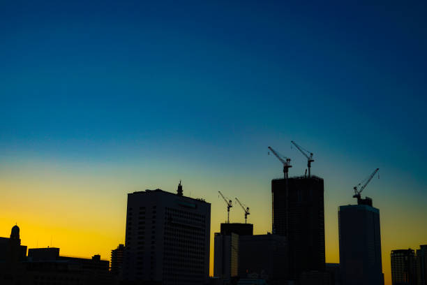 Silhouette of two cranes at sunset
