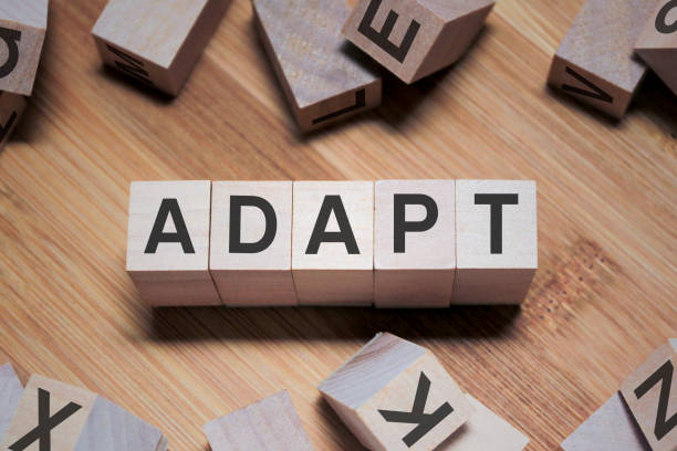 Adapt Word In Wooden Cube Adapt Word In Wooden Cube adaptation concept stock pictures, royalty-free photos & images